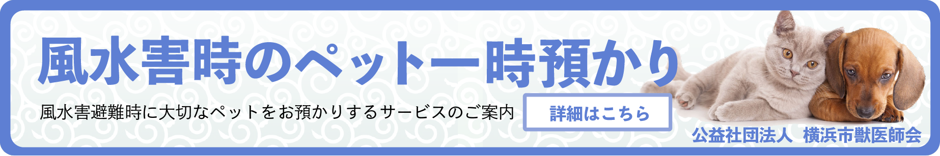 災害時のペット一時預かり